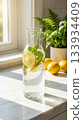 A tall glass carafe filled with sparkling water, fresh lemon slices, and mint leaves sits on a sunlit kitchen countertop, surrounded by whole lemons and lush green plants. 133934409