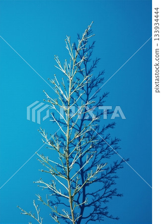 AI generated. Frozen twigs against blue sky, Serene frostcovered branches with airy AI generated. Frozen twigs against blue sky, Serene frostcovered branches with airy 133934444