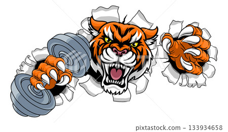 Tiger Weight Lifting Dumbbell Gym Animal Mascot Tiger Weight Lifting Dumbbell Gym Animal Mascot 133934658