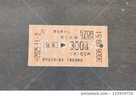 Ticket 133934759