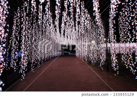 照明照明 照明照明 133935129