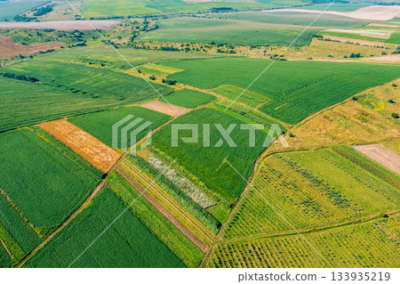 Aerial view of cultivated soy and wheat field in summer. Rural landscape Aerial view of cultivated soy and wheat field in summer. Rural landscape 133935219