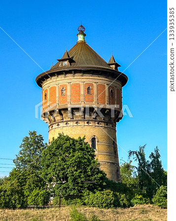A stunningly beautiful historic water tower stands majestically amidst lush greenery under a clear blue sky 133935385