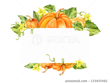ripe orange and beige pumpkins with green leaves, stems and yellow flowers, watercolor autumn harvest illustration, hand drawn sketch, frame for Halloween, thanksgiving day, fall festival decoration 133935482