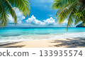 美麗的熱帶海灘景色 133935574