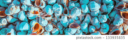 Abstract nature rapana background. Rapana texture colored in a trendy blue color. Rapana beach. Horizontal banner Abstract nature rapana background. Rapana texture colored in a trendy blue color. Rapana beach. Horizontal banner 133935835