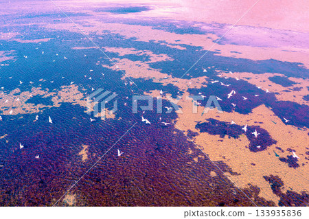 Aerial photo of the estuary with flying seagulls. Land texture Aerial photo of the estuary with flying seagulls. Land texture 133935836