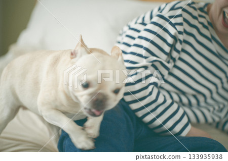 狗衝向主人 狗衝向主人 133935938