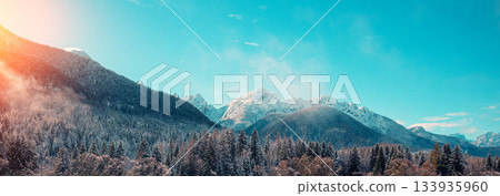 Snow-covered spruce trees on a mountainside on a foggy winter morning. Fusine Confine, Udine, Italy. Horizontal banner 133935960