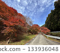 A mountain path where you can enjoy the blue sky, green trees, and red autumn leaves 133936048