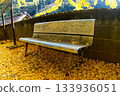 An old bench in the temple grounds that is impossible to sit on due to the yellowing ginkgo leaves 133936051