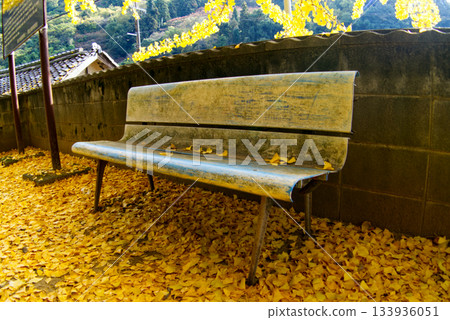 An old bench in the temple grounds that is impossible to sit on due to the yellowing ginkgo leaves An old bench in the temple grounds that is impossible to sit on due to the yellowing ginkgo leaves 133936051