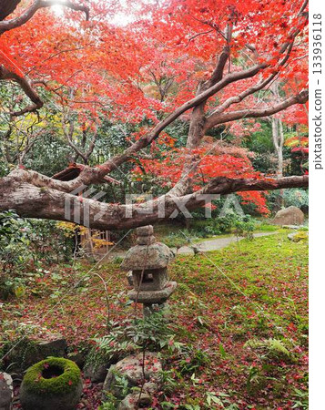 京都_安里安 133936118