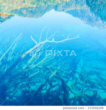 Scenery Jiuzhaigou national park in Sichuan, China. Beautiful clear water of Five Flower Lake in Autumn season. Famous Landmark and Vacation near Chengdu, China. Asia travel concept 133936209