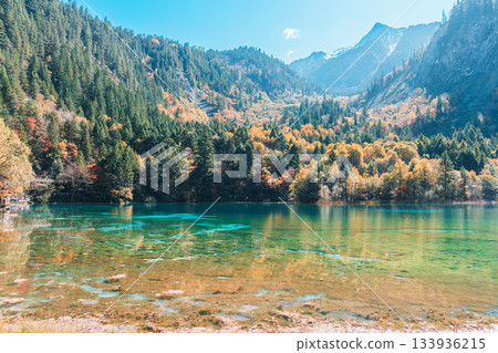 Scenery Jiuzhaigou national park in Sichuan, China. Beautiful Five Flower Lake in Autumn season. Famous Landmark and Vacation near Chengdu, China. Asia travel concept Scenery Jiuzhaigou national park in Sichuan, China. Beautiful Five Flower Lake in Autumn season. Famous Landmark and Vacation near Chengdu, China. Asia travel concept 133936215