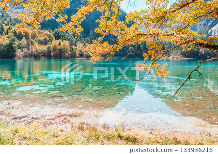 Scenery Jiuzhaigou national park in Sichuan, China. Beautiful Five Flower Lake in Autumn season. Famous Landmark and Vacation near Chengdu, China. Asia travel concept Scenery Jiuzhaigou national park in Sichuan, China. Beautiful Five Flower Lake in Autumn season. Famous Landmark and Vacation near Chengdu, China. Asia travel concept 133936216