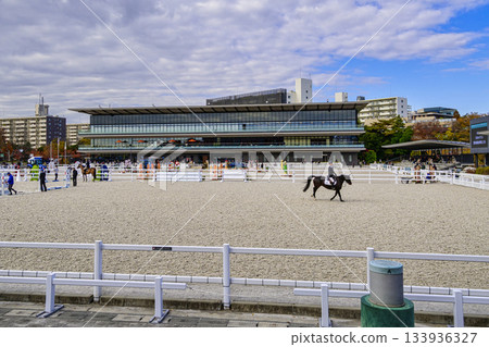 Setagaya Ward, Tokyo, Equestrian Park, Main Arena, Japan Breeding, Show Jumping, Horse Show 133936327