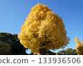 胃  133936506