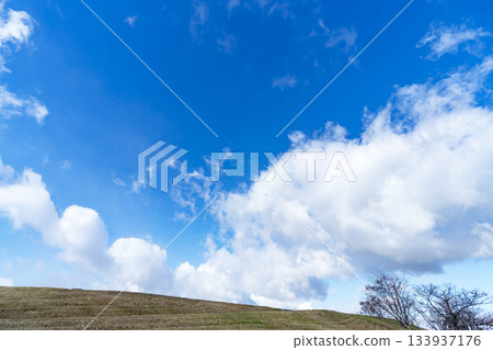 Winter sky, clouds and grassland 133937176