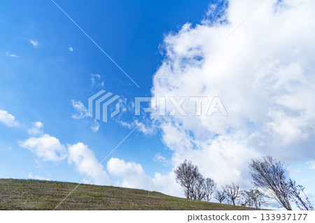 Winter sky, clouds and grassland Winter sky, clouds and grassland 133937177