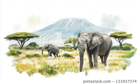 Amboseli National Park. Amboseli National Park hand drawn watercolor illustration on white background 133937374