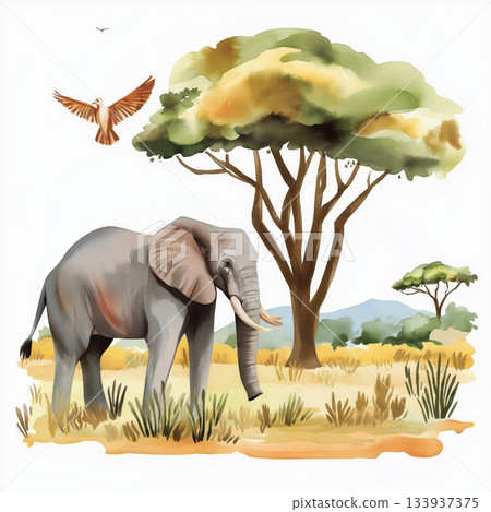 Amboseli National Park. Amboseli National Park hand drawn watercolor illustration on white background 133937375