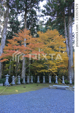 四國巡禮第66座寺院-雲邊寺大士堂的秋葉 四國巡禮第66座寺院-雲邊寺大士堂的秋葉 133937679
