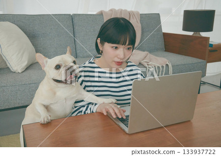一位女士正在電腦前工作,一隻狗在一旁看著她。 一位女士正在電腦前工作,一隻狗在一旁看著她。 133937722