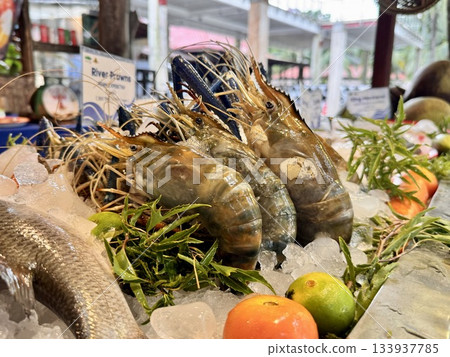 Large fresh king prawns on ice 133937785