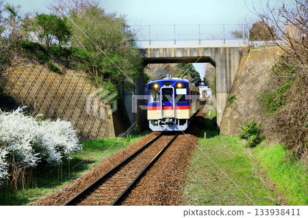 鹿島臨海鐵道「8000系」柴油車在大洗鹿島線平穩運行 133938411