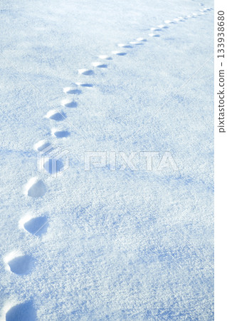 Single trail of human footprints in deep white snow, frozen field, backlite, vertical orientation 133938680