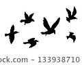 Flying flock of birds silhouette, Simple swallows in flight, crows in the sky. Group of birds border. 133938710