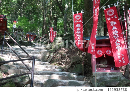 通往神社的路上掛著紅旗。 通往神社的路上掛著紅旗。 133938788