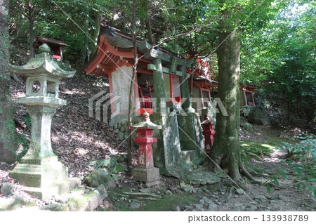 小公司 小公司 133938789
