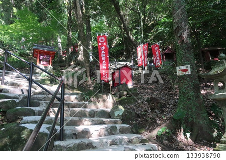 林間小路 133938790