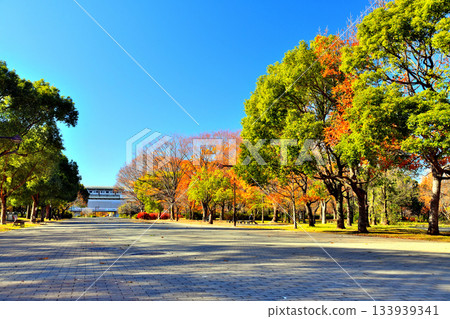 東京足立區舍利公園及舍利公園車站景色 [2025年12月] 133939341