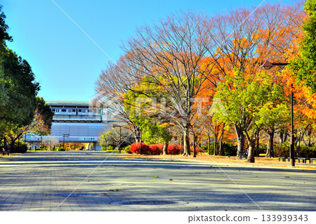 東京足立區舍利公園及舍利公園車站景色 [2025年12月] 133939343