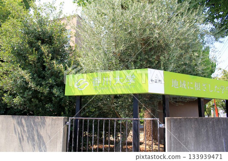 香川大學 133939471