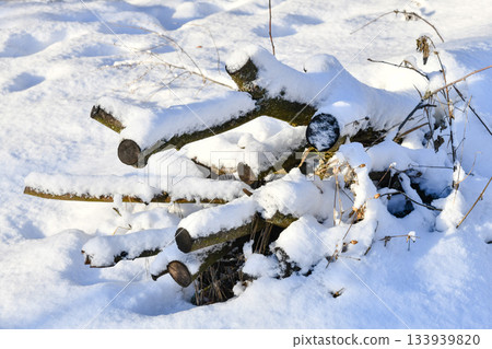 Sunny winter day big snowdrifts felled trees stump and branches under the snow background Sunny winter day big snowdrifts felled trees stump and branches under the snow background 133939820