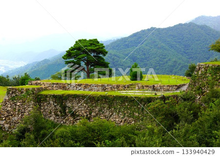 Takeda Castle Ruins 133940429