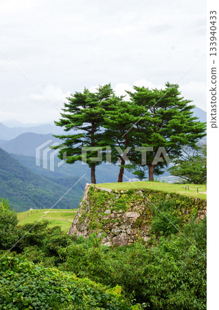 武田城堡遺址 133940433