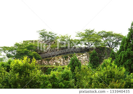 Takeda Castle Ruins 133940435