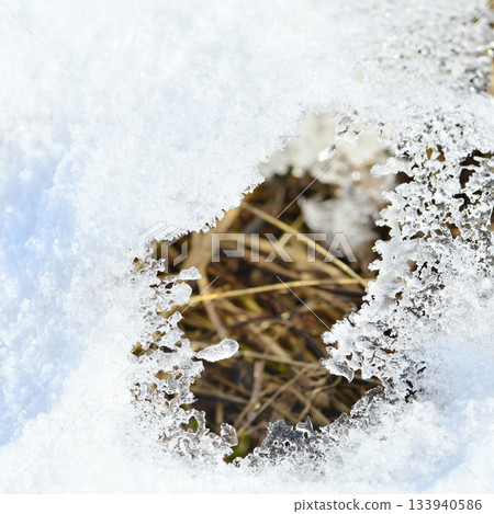 Melted snow mold on the spring lawn grass after winter on the soil. Winter frame loose snow shiny ice 133940586