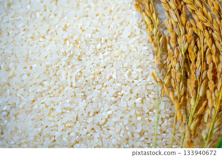 Rice grains in a wooden basket with a ear of rice. Healthy natural food in Korea 133940672