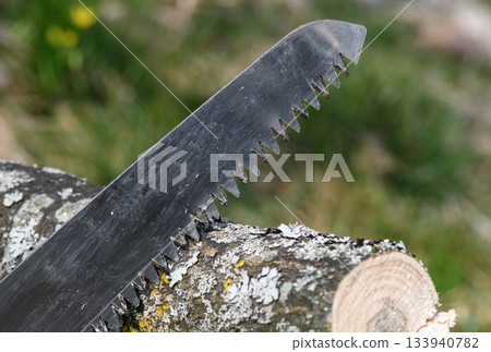 Thick branch tree sharp edges saw closeup detailed gardening equipment embracing a tree branch springtime garden work Thick branch tree sharp edges saw closeup detailed gardening equipment embracing a tree branch springtime garden work 133940782