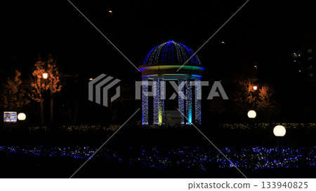 Verny Park illuminations 133940825