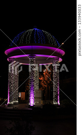 Verny Park illuminations Verny Park illuminations 133940833