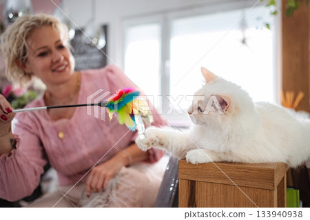 Woman playing with white domestic cat at home 133940938