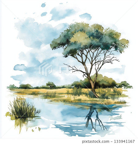 Okavango Delta. Okavango Delta hand drawn watercolor illustration on white background Okavango Delta. Okavango Delta hand drawn watercolor illustration on white background 133941167