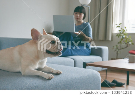 狗狗和女人在沙發上放鬆 133941238